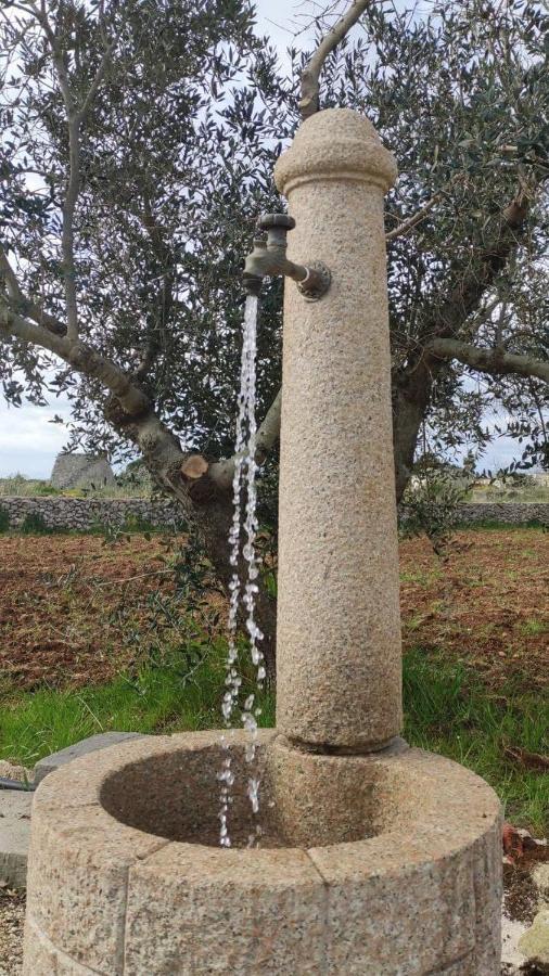 Palacca, Trullo Salentino Andrano Eksteriør bilde