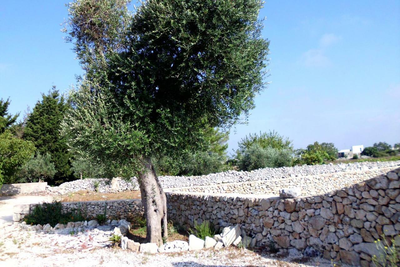 Palacca, Trullo Salentino Andrano Eksteriør bilde
